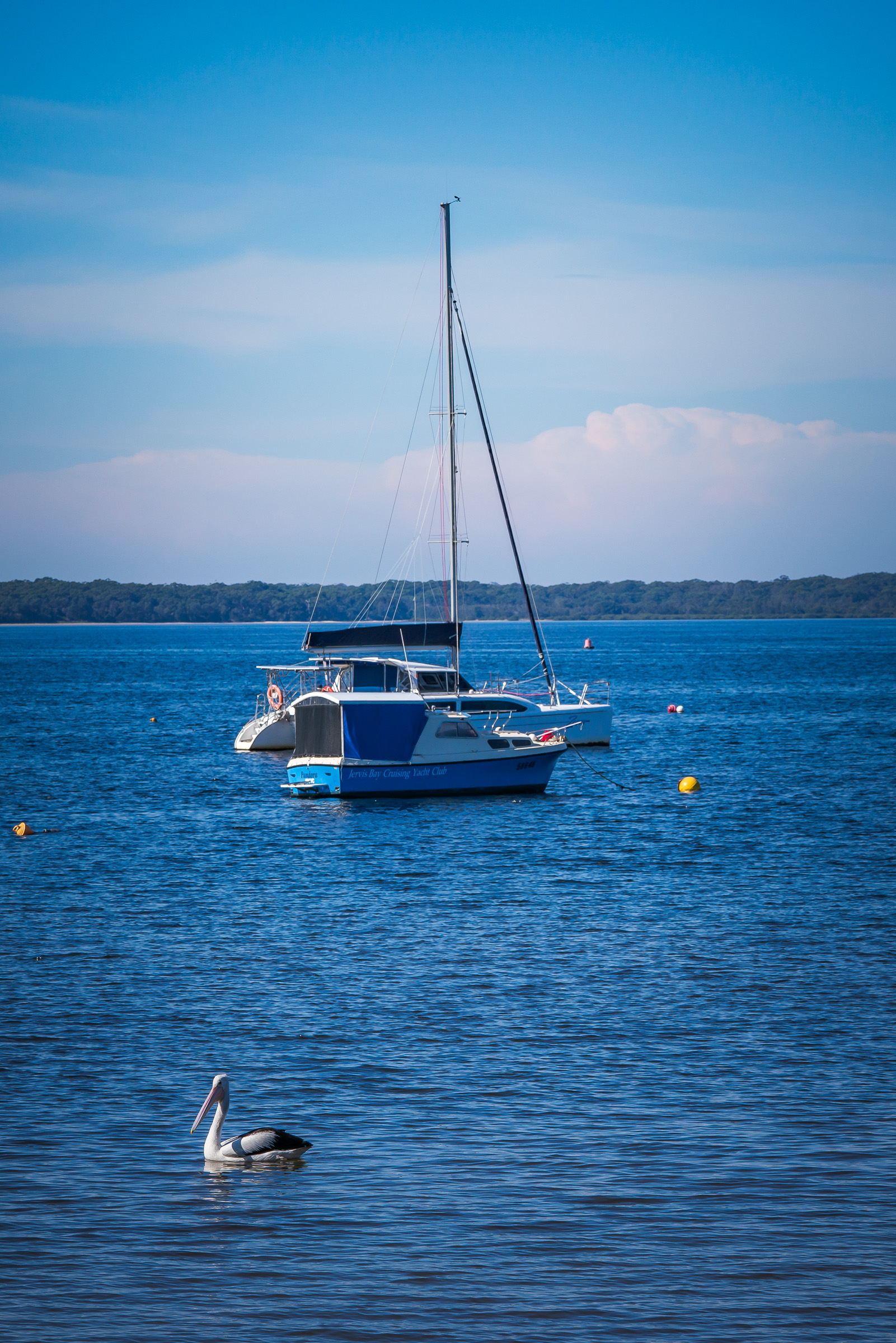 Callala Bay - Sealark Pty Ltd